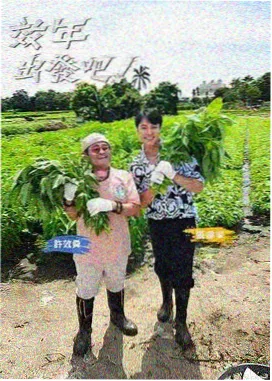 导演请指教
